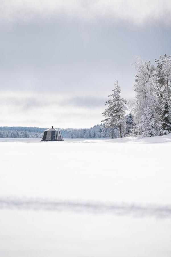 Arctic Guesthouse & Igloos Ranua Eksteriør bilde